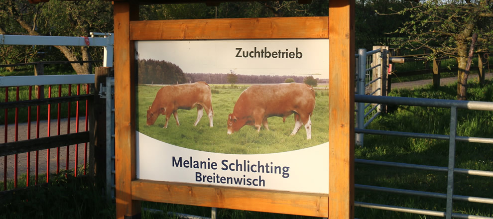 Schlichting-Hof in Breitenwisch